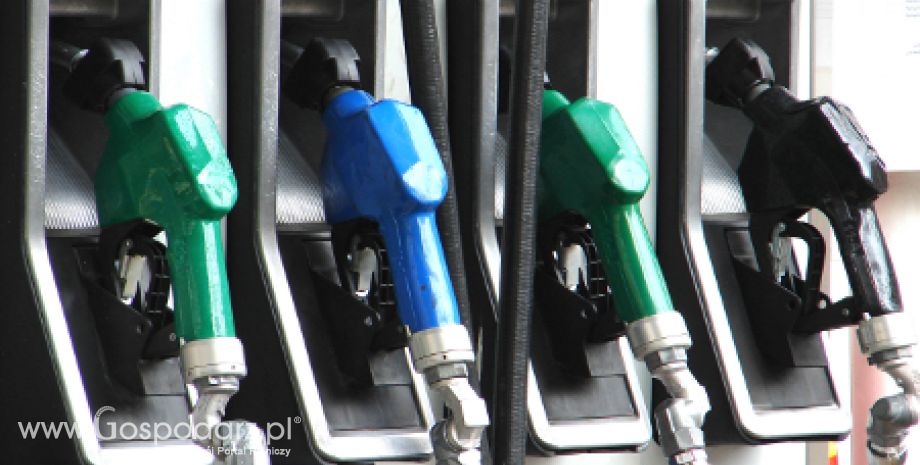 Stabilizacja cen paliw