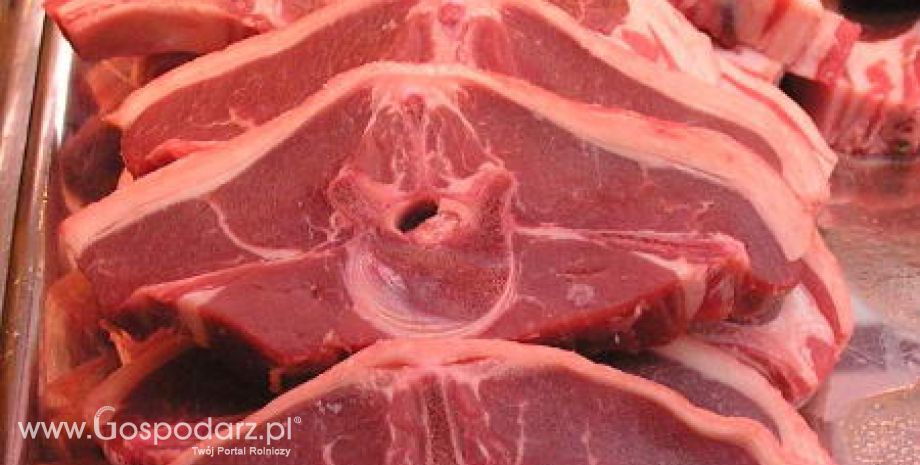 Ukraina – Wzrost importu mięsa
