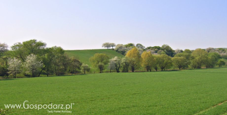 Dobry i ważny rok dla ANR