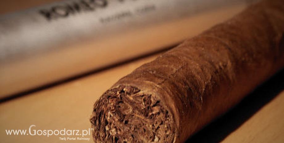 Sklepy z alkoholem i papierosami coraz częściej upadają - powodem jest spory spadek sprzedaży