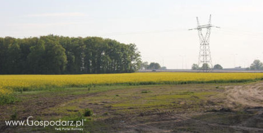 Rządowa pomoc dla rolników