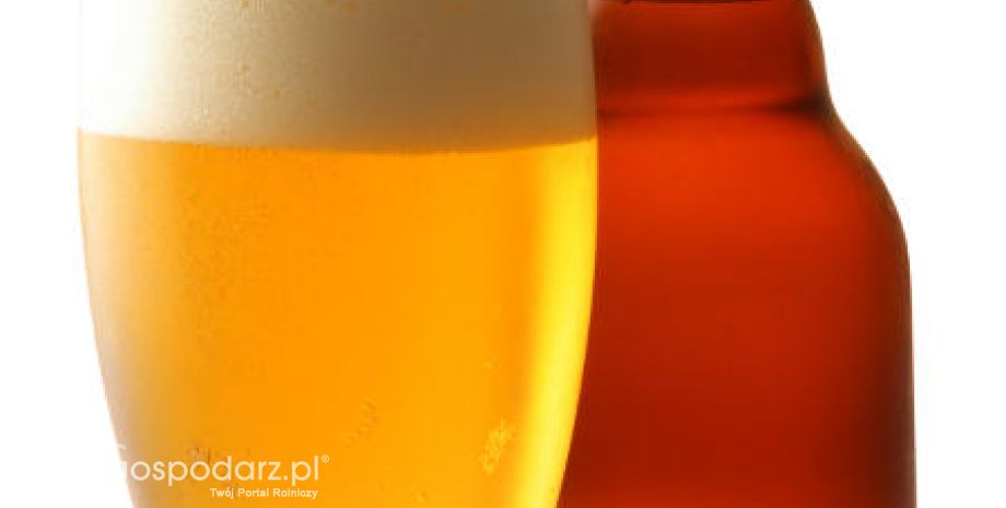Informacja zbiorcza o wynikach kontroli planowej w zakresie jakości handlowej piwa