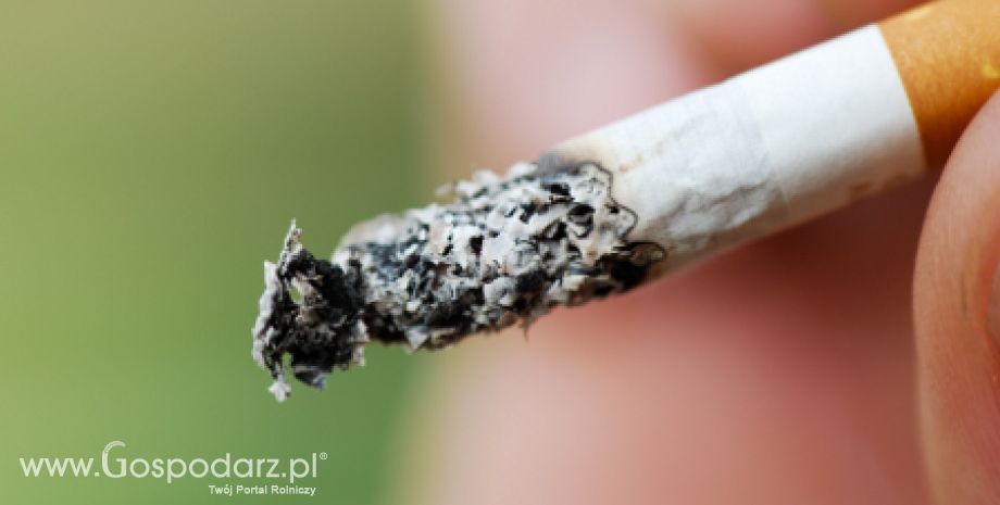 Nowe unijne przepisy, czyli problemy w branży tytoniu