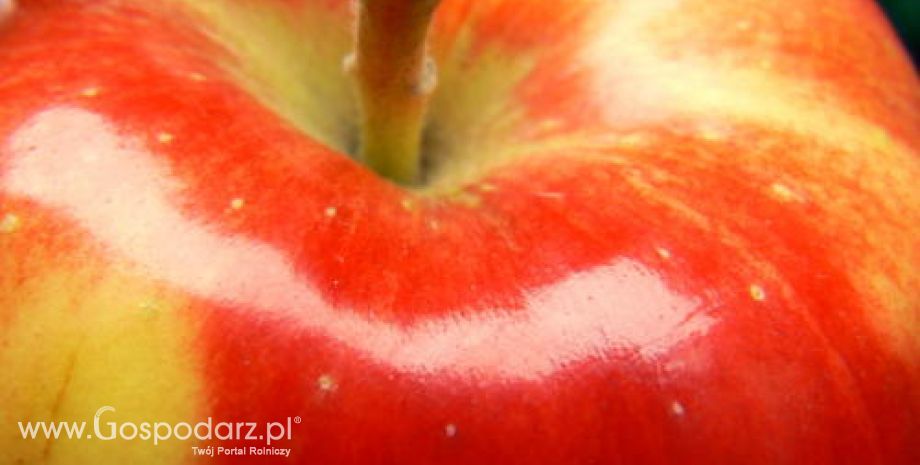 Promocja polskich jabłek
