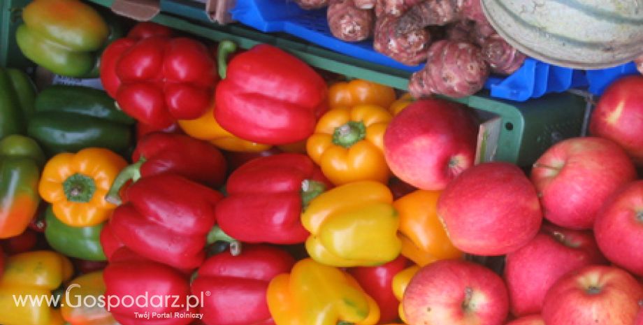 UWAGA ! 11 lipca jest ostatnim dniem przyjmowania wniosków od producentów warzyw
