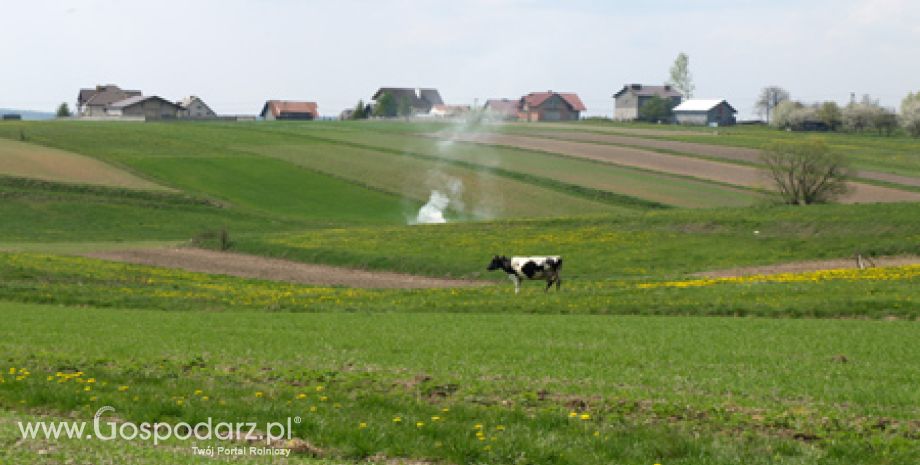 Wypłata wsparcia z tytułu ONW przebiega zgodnie z planem