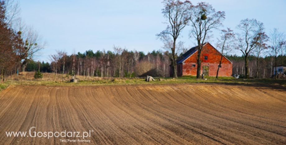 W Pałacu Prezydenckim o odnowie wsi