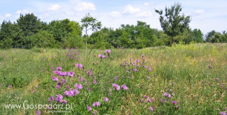 Wspólna Polityka Rolna 2014-2020 i zmiany w zazielenianiu