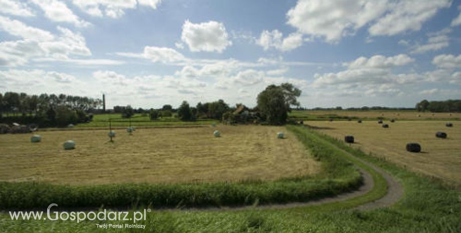 Agencja Nieruchomości Rolnych w tym roku sprzeda 200 tys. hektarów gruntów rolnych