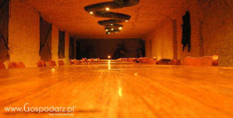 Noworoczna Gala Agrobiznesu