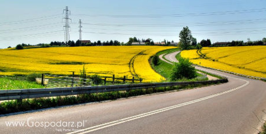 02.04.2012. Oleiste-Rzepak i soja znowu na wielomiesięcznych maksimach