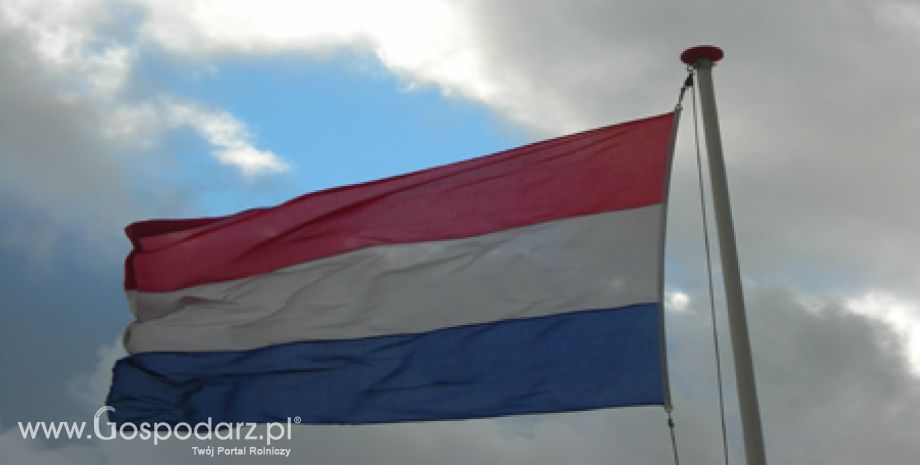 Holandia określiła minimalny udział biopaliw w paliwach transportowych na najbliższe lata