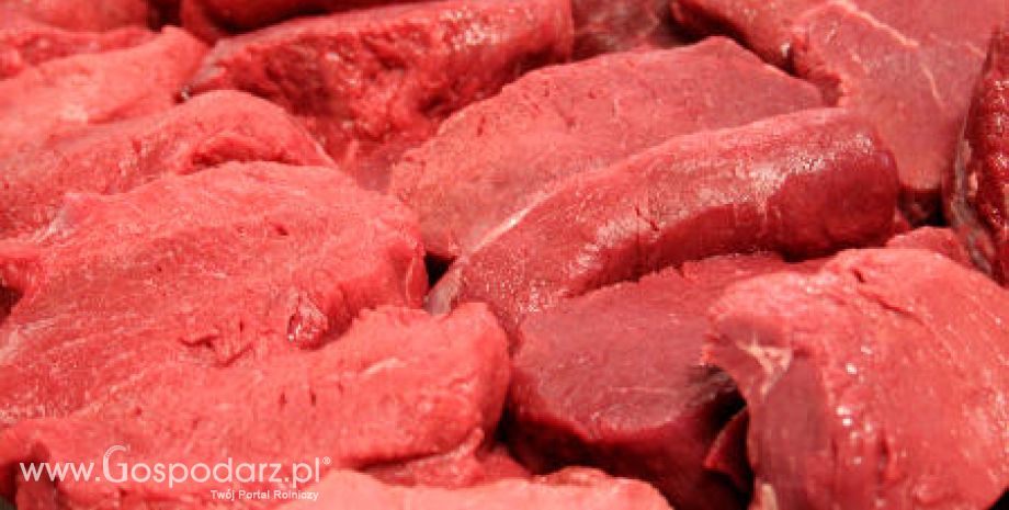 Informacja zbiorcza o wynikach kontroli planowej w zakresie jakości handlowej przetworów z mięsa czerwonego