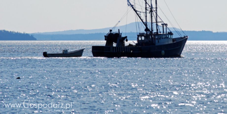300 milionów złotych wypłacone przez ARiMR na unowocześnienie portu i rybołówstwa w Kołobrzegu przyniosło rewelacyjne efekty