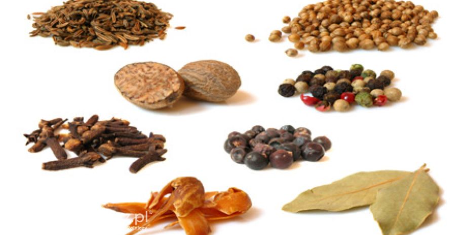 60 lat Instytutu Hodowli i Aklimatyzacji Roślin