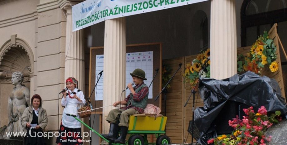 Smaczne dynie i turniej wsi w Gliśnie