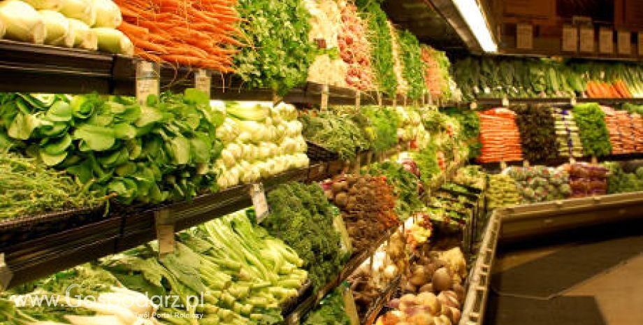 Komunikat GIORiN na temat tymczasowuch świadectw dla warzyw i owoców eksportowanych do Rosji