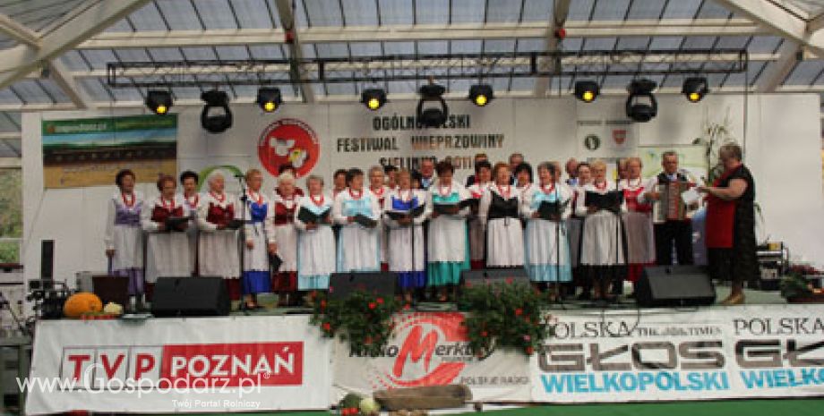 Właśnie rozpoczął się Festiwal Wieprzowiny w Sielinku
