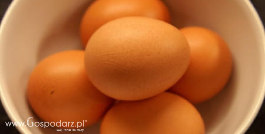 Kazachstan – Samowystarczalność w produkcji jaj