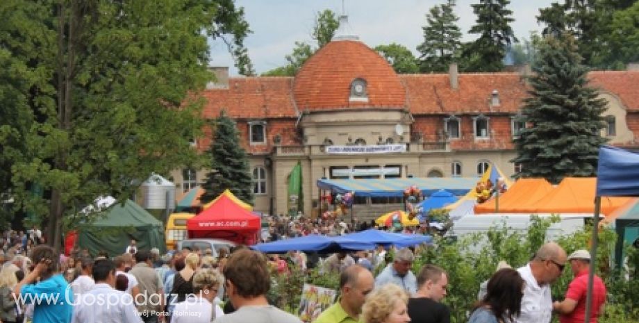 Relacja z XX Targów Rolniczych Lubniewice 2011