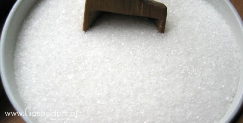 Rosja – Mniejsza produkcja cukru