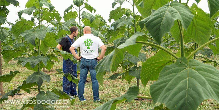 Oxytree na Agro Show 2018!