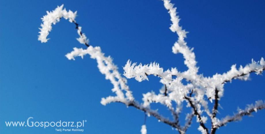 Na Kujawach i Pomorzu zaczęło się liczenie strat