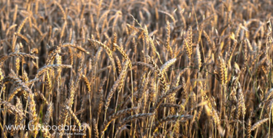 Ponad 512 milionów złotych przekazała ARiMR 344 tys. rolników w pierwszych dniach realizacji dopłat ONW za 2011 r.