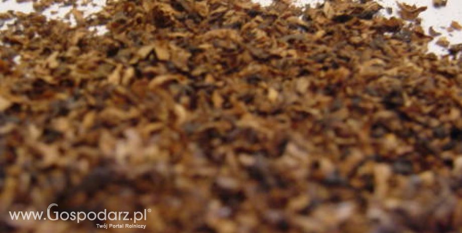 Spotkanie z przedstawicielami producentów tytoniu