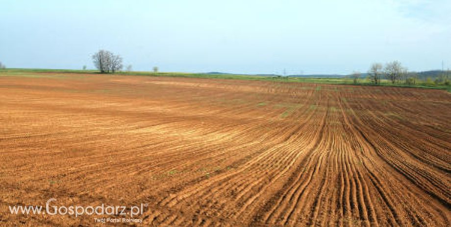 Stan dzierżaw na koniec 2010 r.