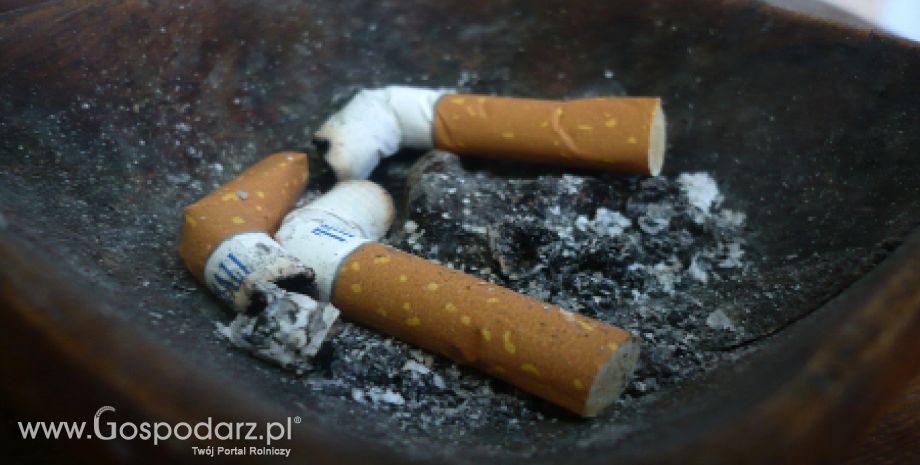 Australia – Najostrzejsze przepisy antynikotynowe oraz inwestycja w branżę tytoniową