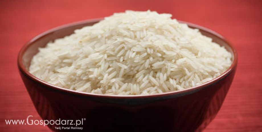 Polski ryż z ołowiem w czeskich sklepach?