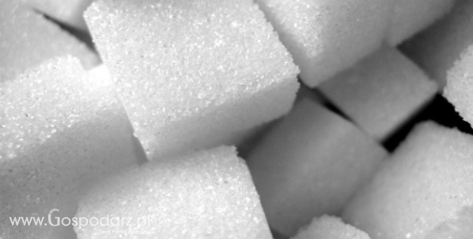 Pakistan – Import cukru nie będzie konieczny