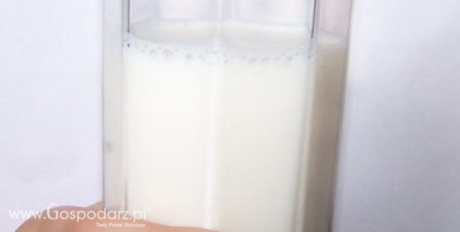Wzrost skupu mleka