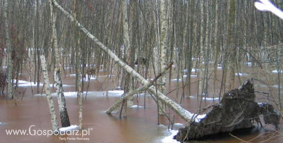 Wraz z nadejściem wiosny powraca temat powodzi