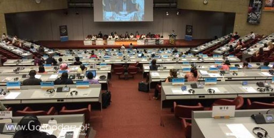 FAO/WHO: 38. sesja Komisji Kodeksu Żywnościowego