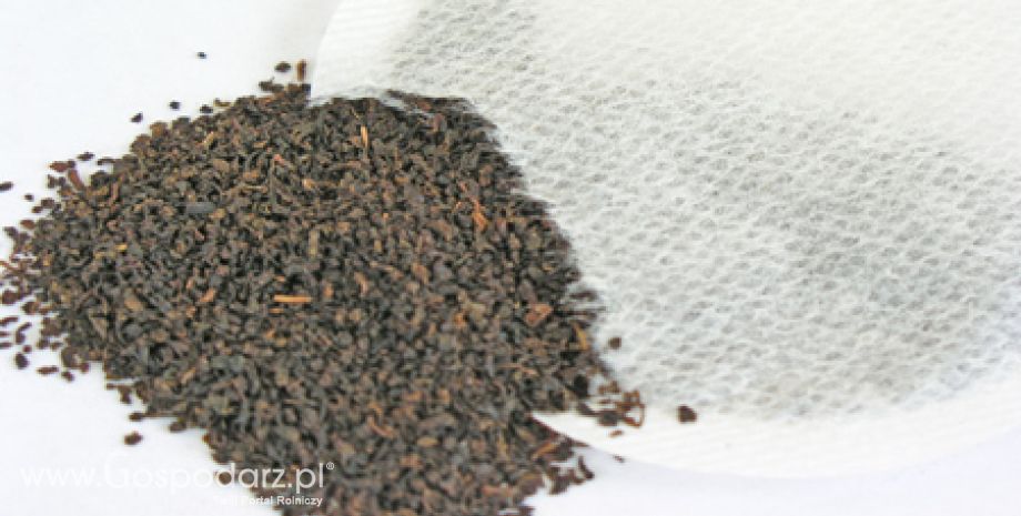 Nazwa herbaty Darjeeling zarejestrowana jako chronione oznaczenie geograficzne